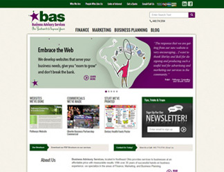 Business Advisory Services Website Screenshot
